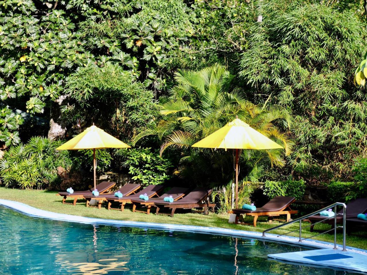 Yasmin Hill Longevity Oasis - Former Galavilla Boutique Hotel & Spa Kandy Exteriör bild